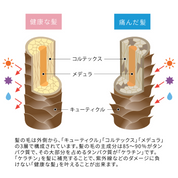 健康な髪と傷んだ髪の対比図。ケラチン配合で、髪を補修しながら保護。羊毛由来の補修成分ケラチンが、乱れた髪の表面をコーティングしてツヤやまとまりを向上。