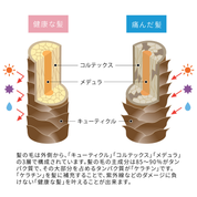 健康な髪と傷んだ髪の対比図。ケラチン配合で、髪を補修しながら保護。羊毛由来の補修成分ケラチンが、乱れた髪の表面をコーティングしてツヤやまとまりを向上。