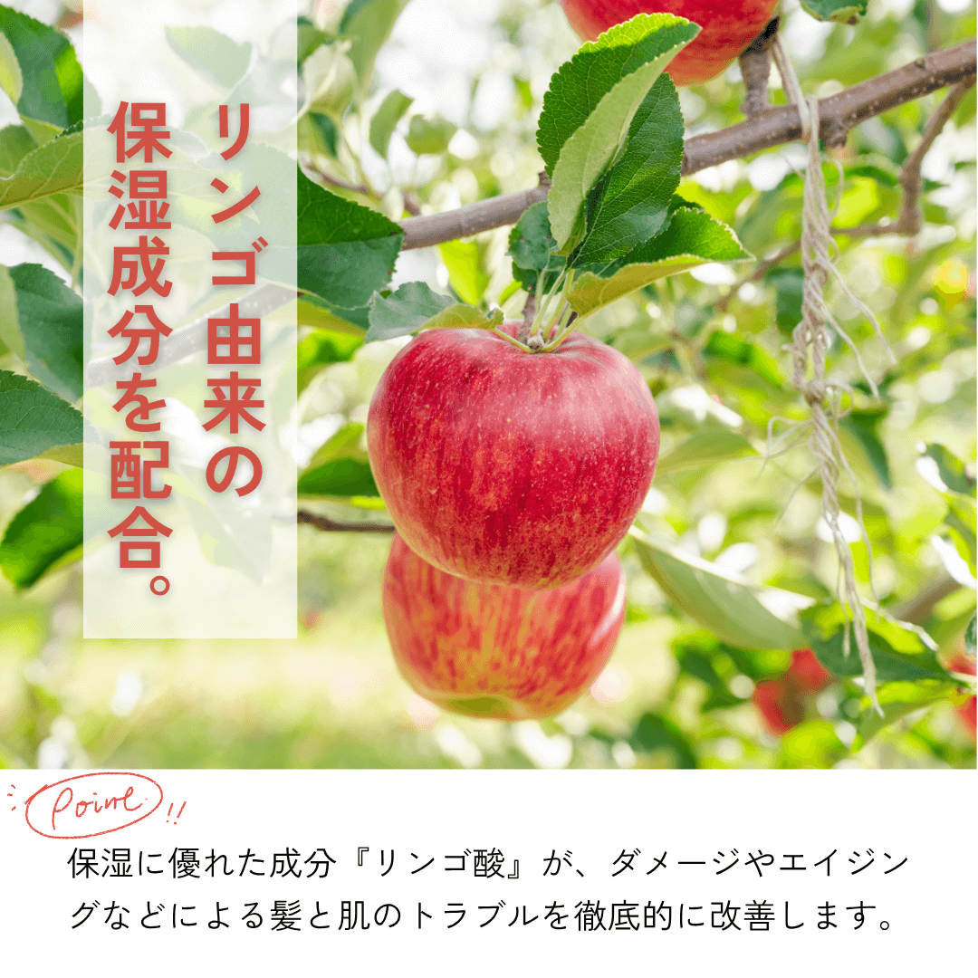 リンゴ酸配合 リンゴ由来の成分。抗酸化作用でダメージやエイジングによる髪とお肌のトラブルを徹底的に改善。保湿力が抜群に良い成分。