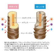 健康な髪と痛んだ髪の構造を示す図、うるうシャンプー+うるうトリートメントの効果を強調